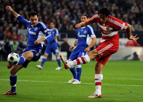 鹿队在常规 鹿队在常规